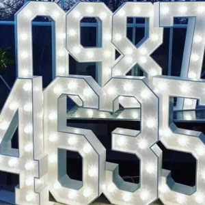 large LED numbers for hire